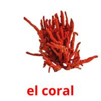 el coral Tarjetas didacticas