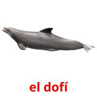 el dofí flashcards illustrate