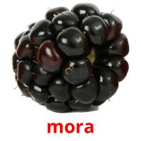 mora picture flashcards