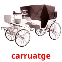 carruatge Tarjetas didacticas