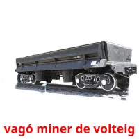 vagó miner de volteig bildekort