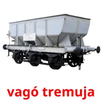 vagó tremuja bildekort