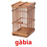 gàbia flashcards illustrate