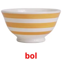 bol picture flashcards