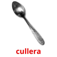cullera picture flashcards