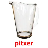pitxer picture flashcards