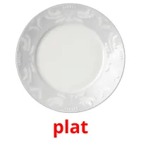 plat picture flashcards