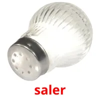 saler picture flashcards