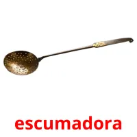 escumadora Tarjetas didacticas