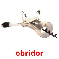 obridor Tarjetas didacticas
