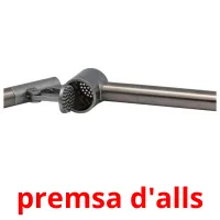 premsa d'alls Tarjetas didacticas
