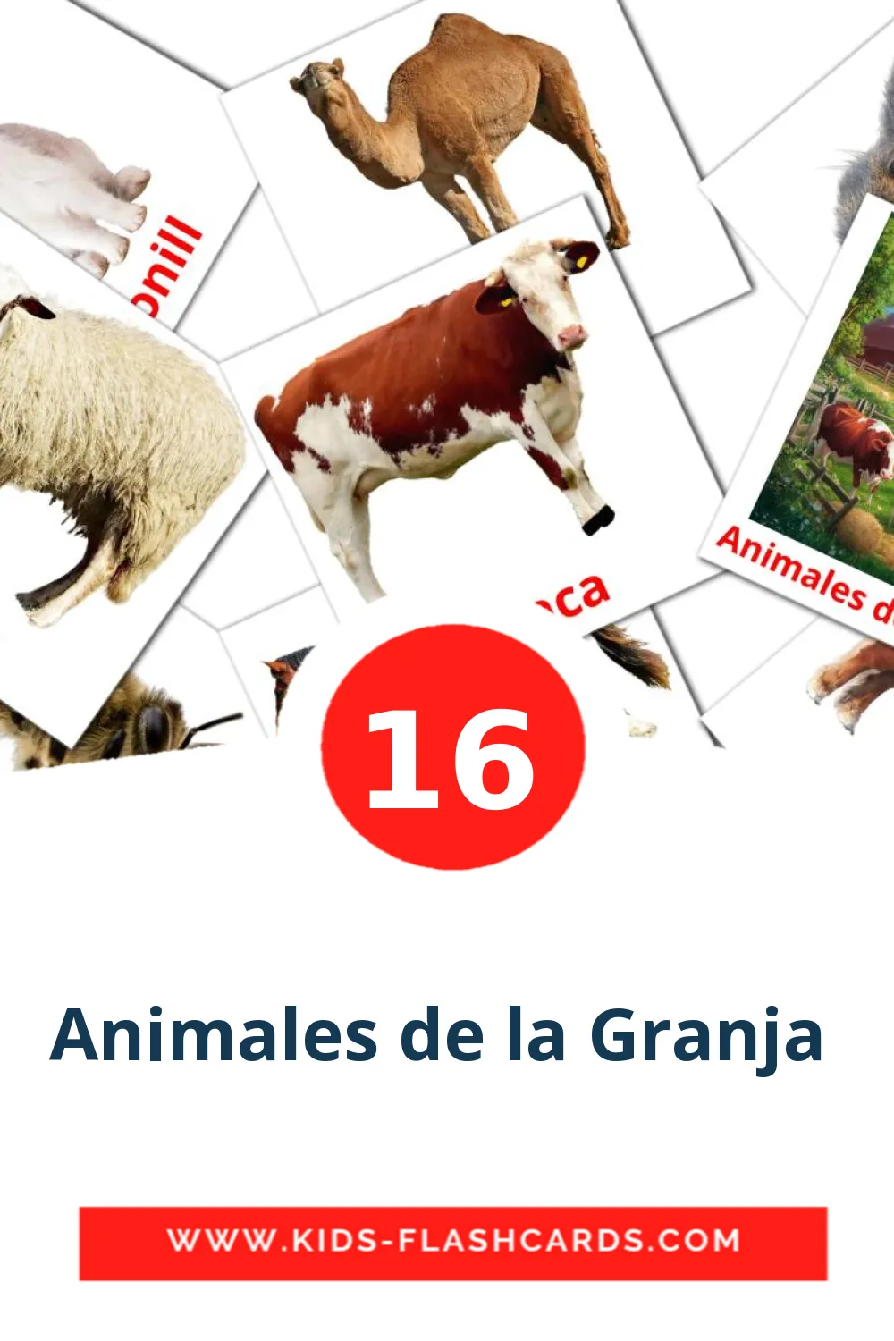 16 Animales de la Granja  Bildkarten für den Kindergarten auf Katalanisch