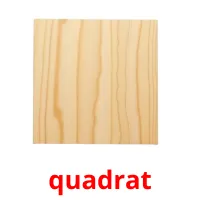 quadrat picture flashcards