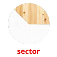 sector picture flashcards