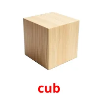 cub picture flashcards