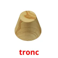 tronc picture flashcards