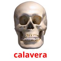 calavera picture flashcards