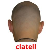 clatell picture flashcards