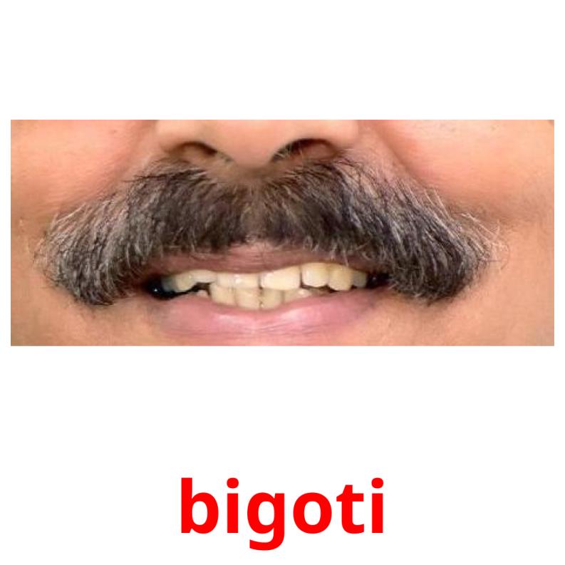 bigoti picture flashcards