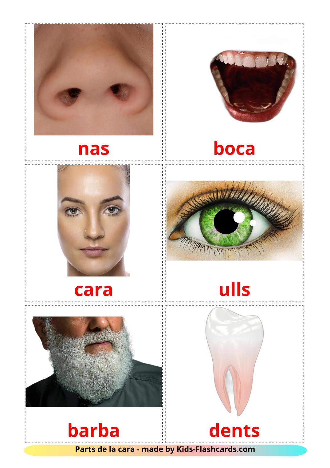 Face - 20 Free Printable catalan Flashcards 