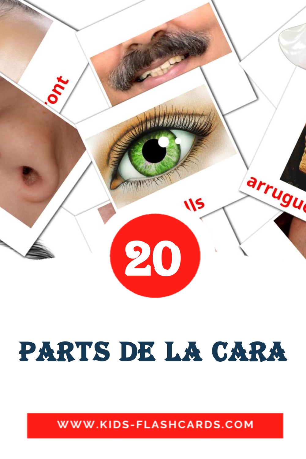 20 cartes illustrées de Parts de la cara pour la maternelle en catalan