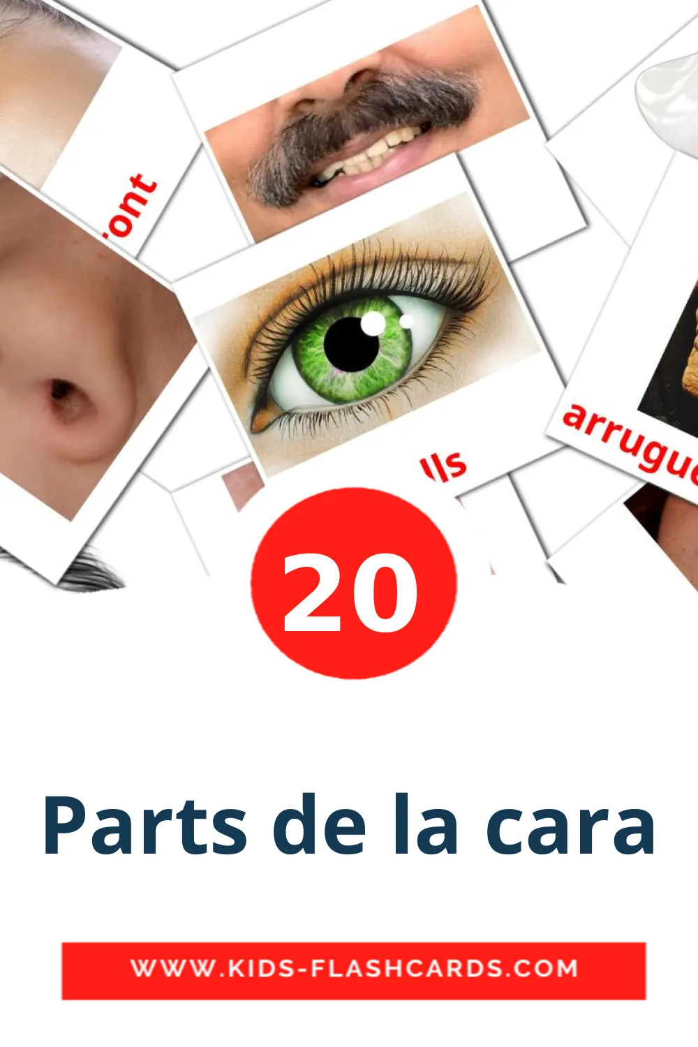 20 Parts de la cara Picture Cards for Kindergarden in catalan