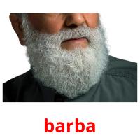 barba flashcards illustrate