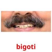bigoti flashcards illustrate