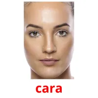 cara picture flashcards