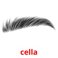 cella picture flashcards