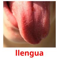 llengua picture flashcards