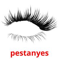 pestanyes picture flashcards