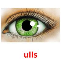 ulls picture flashcards