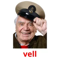 vell cartões com imagens