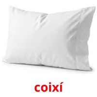 coixí kuvakortit