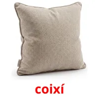 coixí kuvakortit