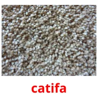 catifa flashcards illustrate