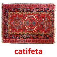 catifeta flashcards illustrate