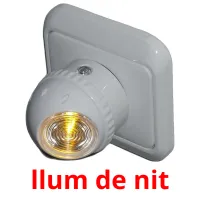 llum de nit flashcards illustrate