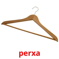 perxa flashcards illustrate