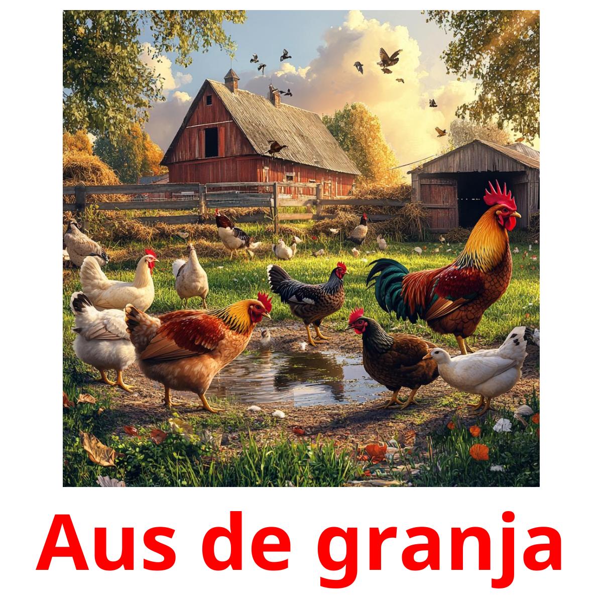 Aus de granja ansichtkaarten