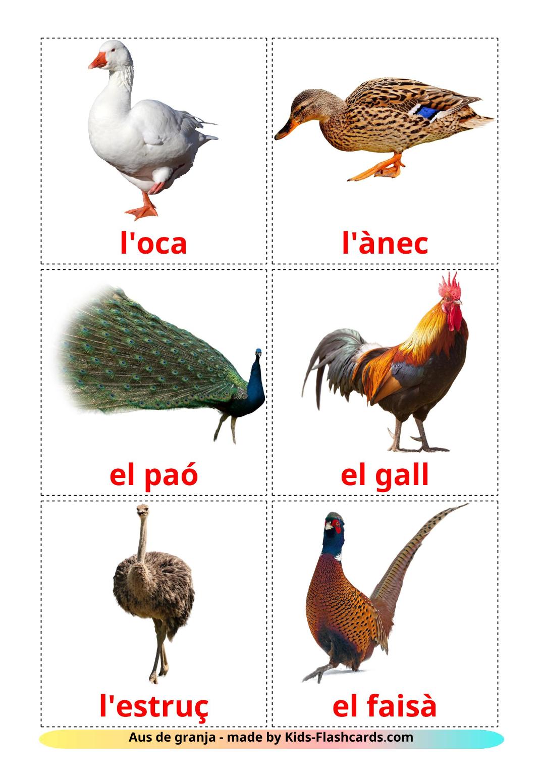 Les Oiseaux de Ferme - 11 Flashcards catalan imprimables gratuitement