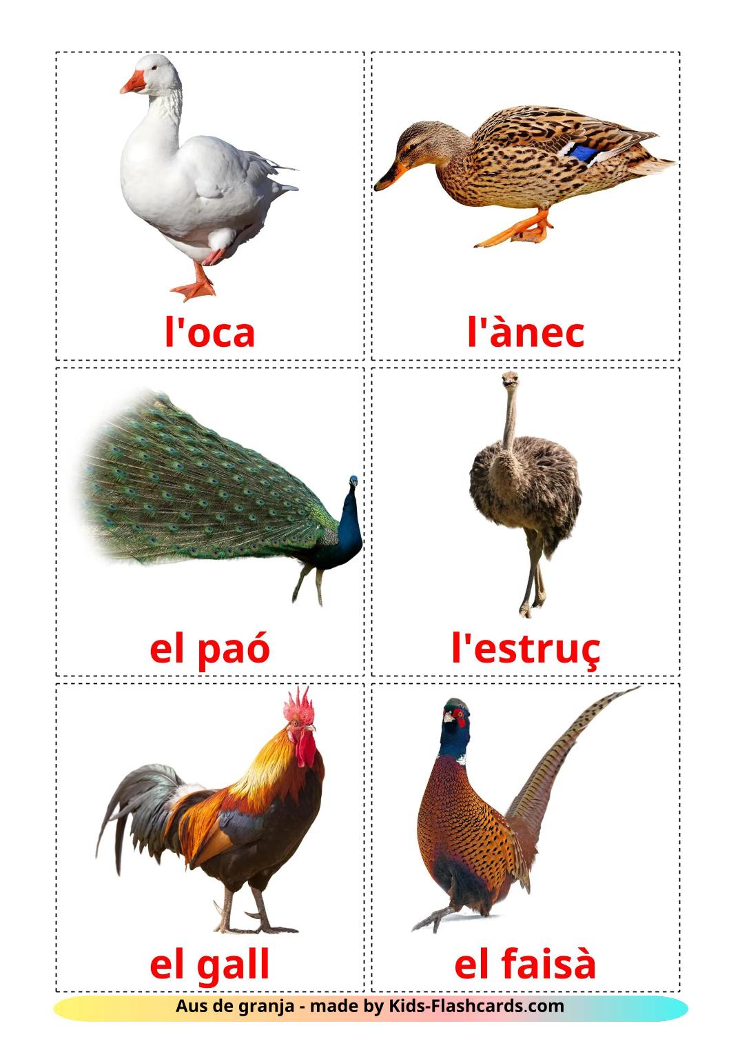 Bauernhof Vögel - 12 kostenlose, druckbare Katalanisch Flashcards 