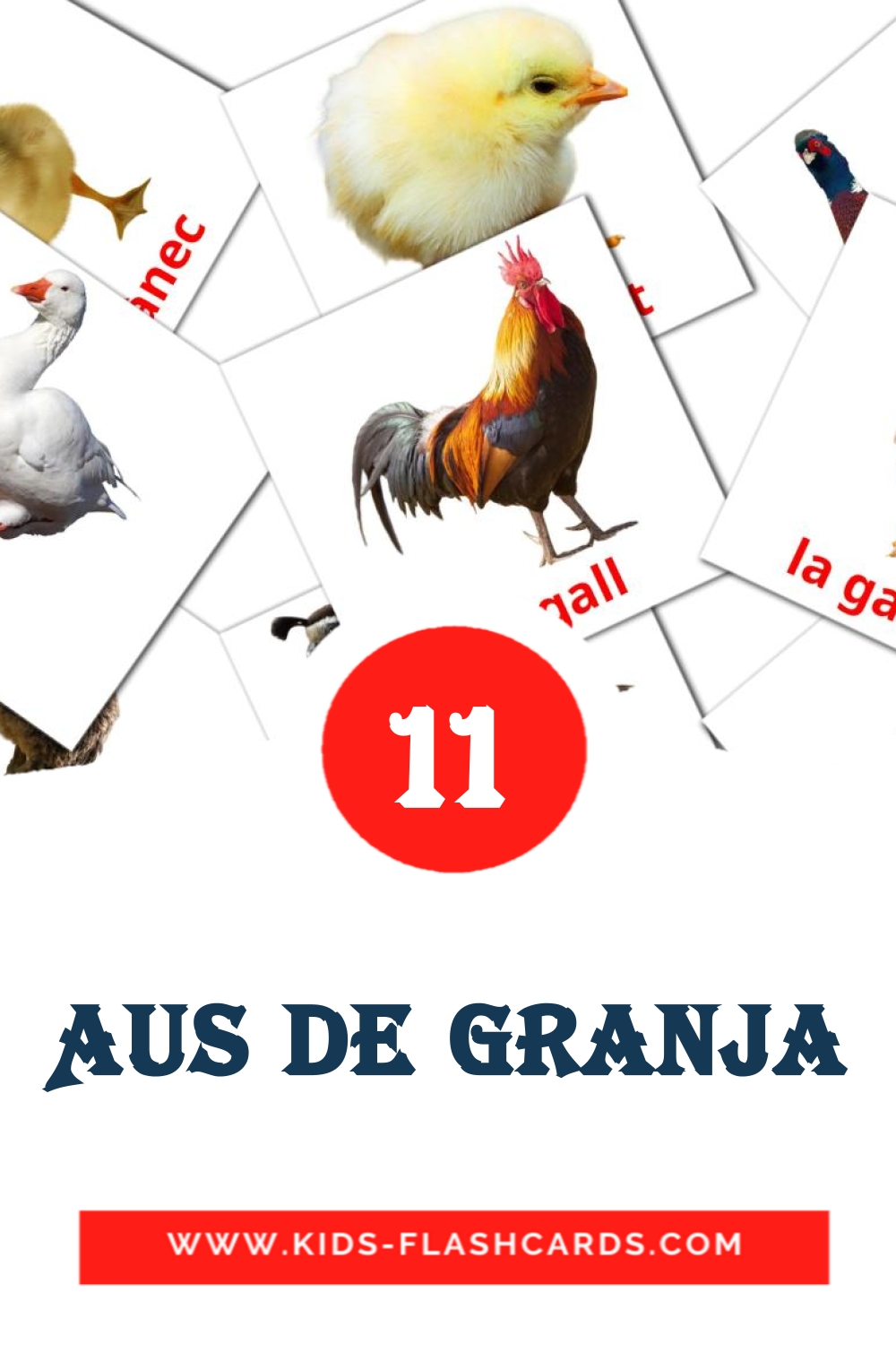 11 Cartões com Imagens de Aus de granja para Jardim de Infância em catalán