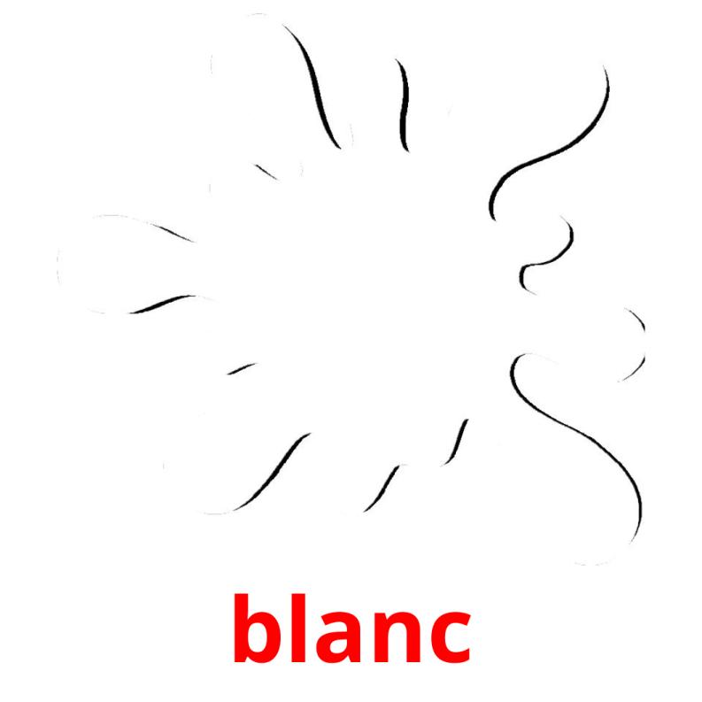 blanc picture flashcards
