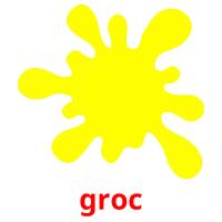 groc picture flashcards