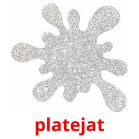 platejat picture flashcards