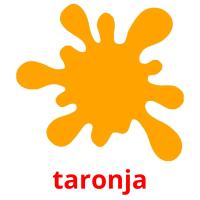 taronja flashcards illustrate