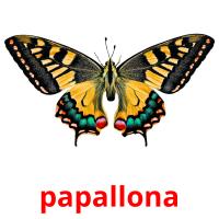papallona flashcards illustrate