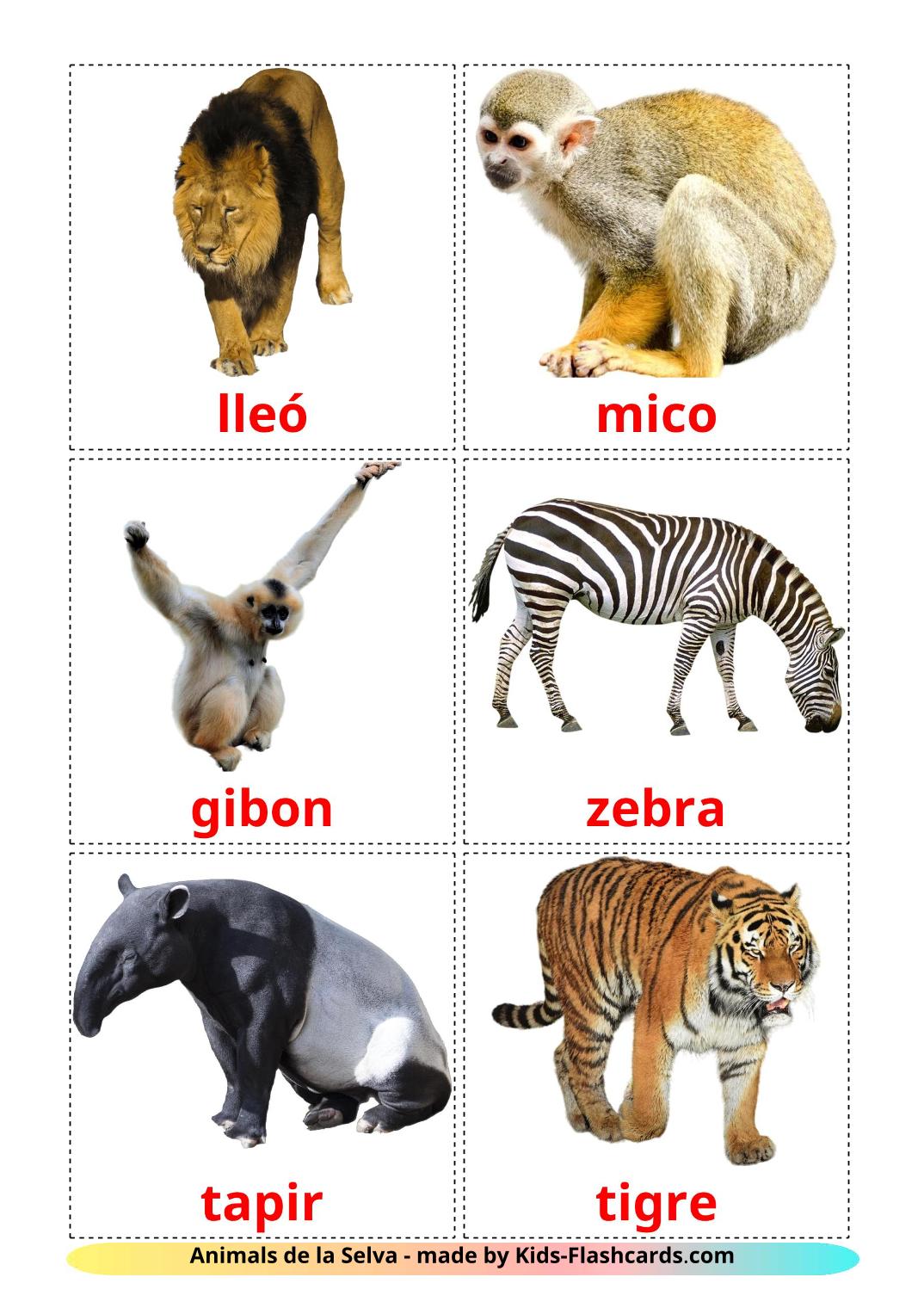 Animali della giungla - 21 flashcards catalano stampabili gratuitamente
